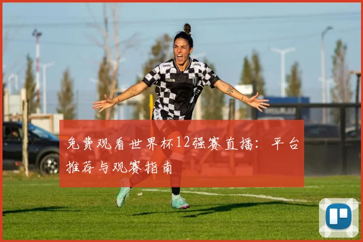 免费观看世界杯12强赛直播:平台推荐与观赛指南