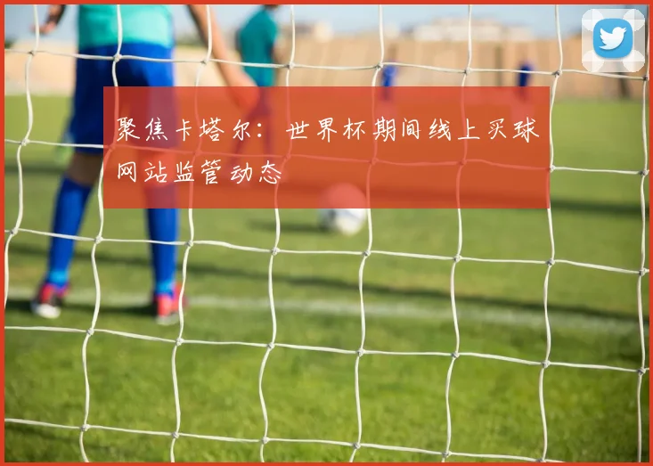 聚焦卡塔尔：世界杯期间线上买球网站监管动态