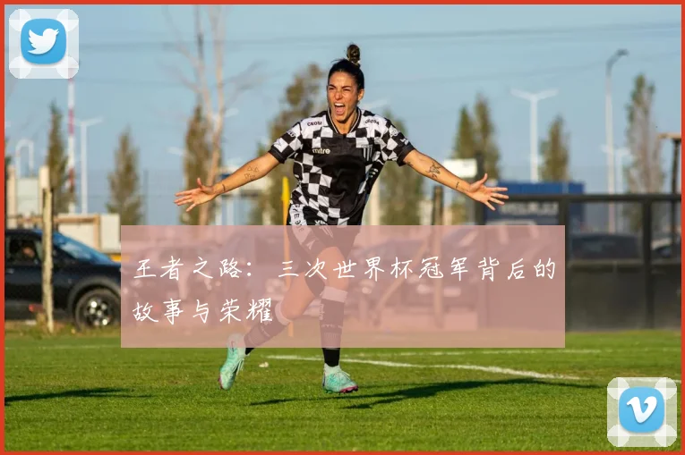 王者之路：三次世界杯冠军背后的故事与荣耀