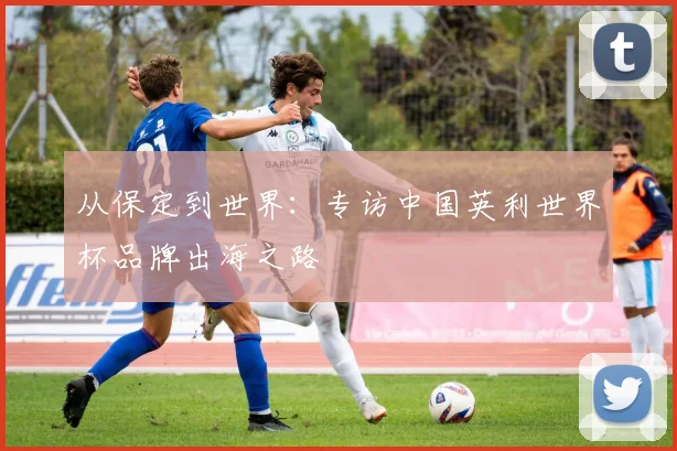 从保定到世界：专访中国英利世界杯品牌出海之路