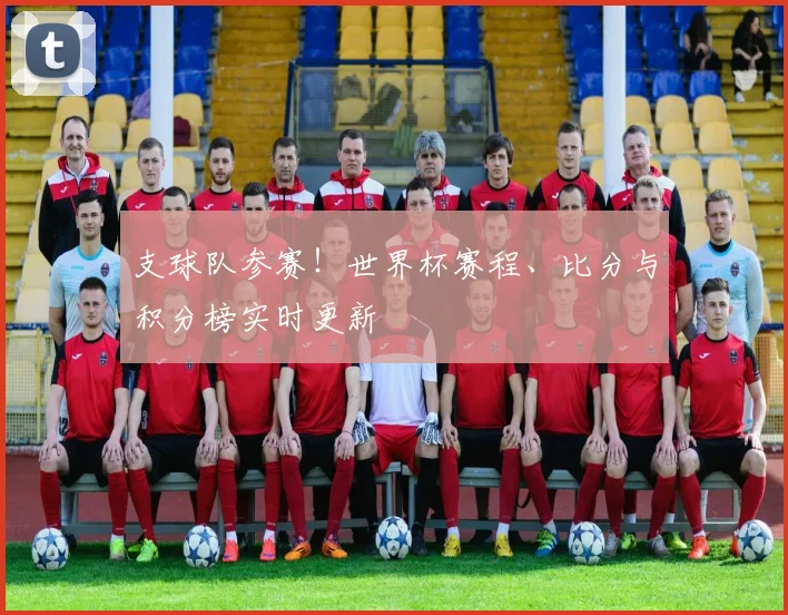 支球队参赛！世界杯赛程、比分与积分榜实时更新