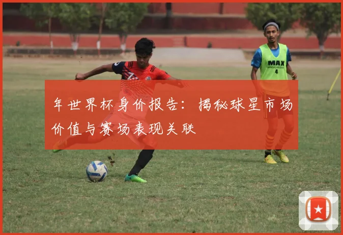 年世界杯身价报告：揭秘球星市场价值与赛场表现关联