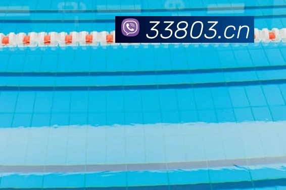 星空体育体育登录入口平台生态图